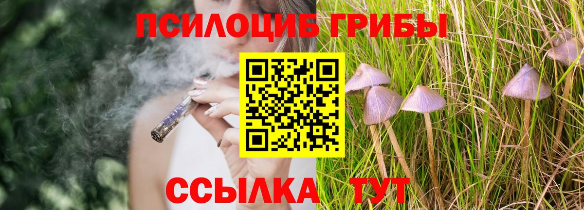 Чебаркуль  Галлюциногенные грибы мицелий  что такое   Вход с VPN 